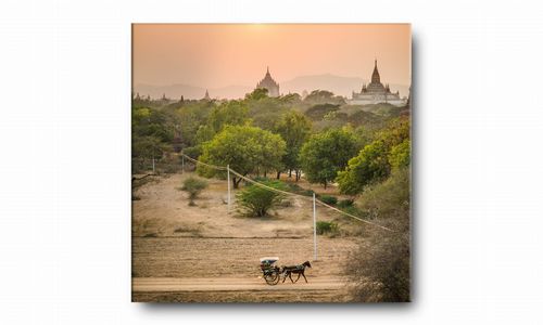 OBRAZ NA PŁÓTNIE 033 Indie 60x60cm na Arena.pl