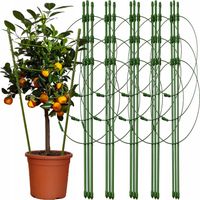 Podpórka do Kwiatów Podpora dla Roślin Doniczkowych Pnących Kwiatka 61cm 5x