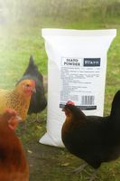 ZIEMIA OKRZEMKOWA DIATOMIT KURY GOŁĘBIE DRÓB 10kg ptaszyńca piórojady wszoł