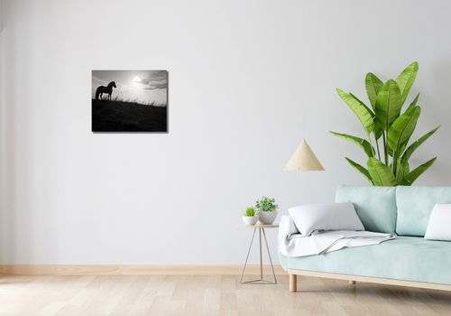 Obraz 50x40cm Księżycowa Straż na Arena.pl