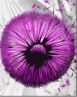 40CM 50CM OBRAZEK ŚCIENNY FIOLETOWE DMUCHAWCE 2 DRUK PŁÓTNO OBRAZ