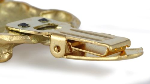 Labrador Retriever - klips - 2615 na Arena.pl