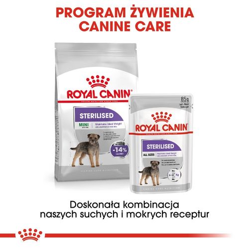 royal canin ccn mini sterilised 3kg na Arena.pl