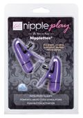 nipplettes purple