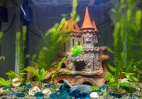 FOTOTAPETA dla dzieci akwarium zamek 200x130 FLIZ