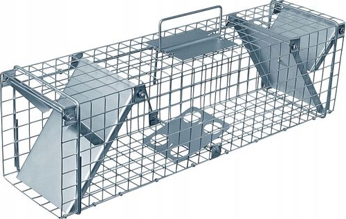 żywołapka pułapka na szczury gryzonie szczurołapka na Arena.pl