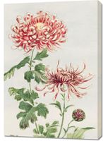 Obraz 70x100cm Kiku, Morikaga Japoński Vintage do Salonu