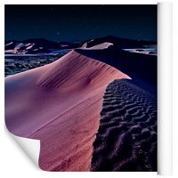 Fototapeta PUSTYNIA Wydmy Natura do Salonu 3D 360x240