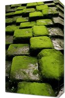 Obraz 30x50cm Zielona Mozaika