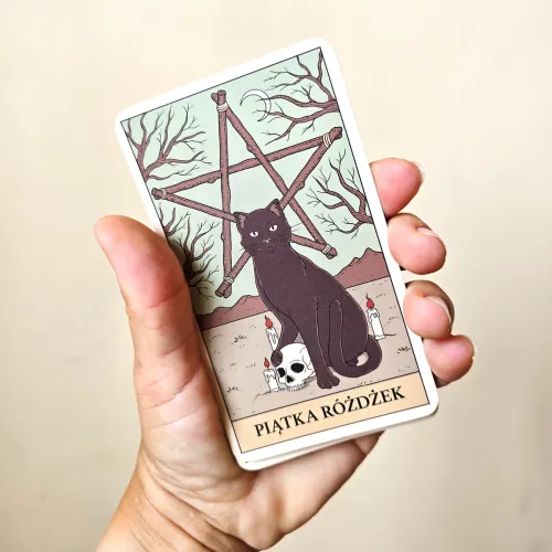 Tarot. Koty rządzą światem. Karty + przewodnik na Arena.pl
