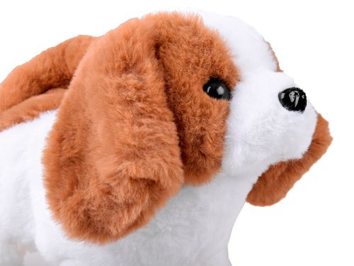 DLA NAJMŁODSZYCH INTERAKTYWNY PIESEK AKCESORIA na Arena.pl