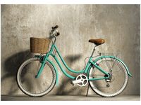 OBRAZ DRUK ROWER RETRO ZIELONY KLASYK KOSZYKIEM