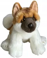 product-compare-61980047