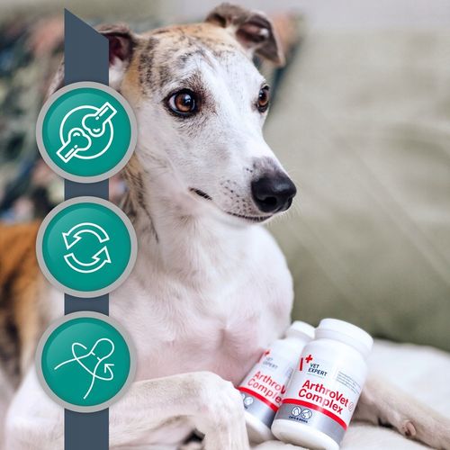 Vet Expert ARTHROVET - zestaw wspomagający prawidłowe funkcjonowanie stawów na Arena.pl