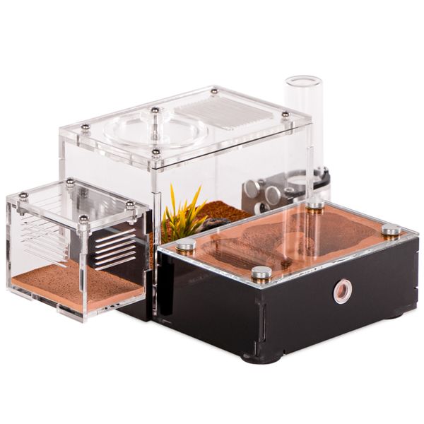 Ant Expert Ancient Canyon - formikarium akrylowe zdjęcie 1