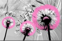 120CM 80CM OBRAZ ŚCIENNY DMUCHAWCE DELIKATNYM RÓŻU