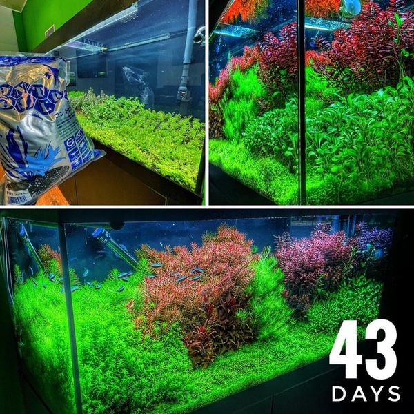 Controsoil 10l Normal podłoże japońskie zdjęcie 10