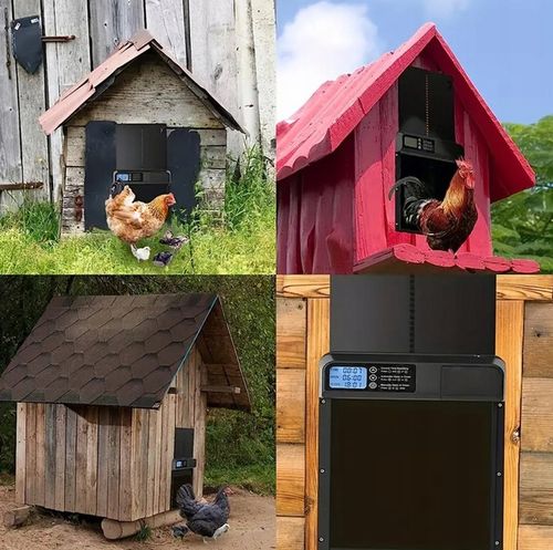 AUTOMATYCZNE DRZWI DO KURNIKA OTWIERANIE Z TIMEREM PROGRAMATOR CZUJNIK na Arena.pl