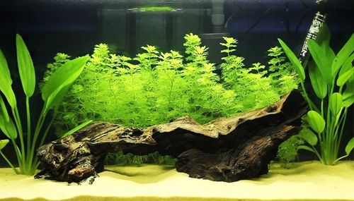 Czysty Piasek Kwarcowy do Akwarium 0,5-1,2 25KG na Arena.pl