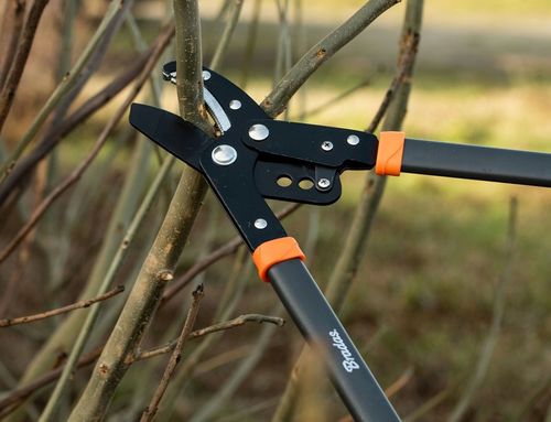 SEKATOR DO GAŁĘZI OGRODOWY KOWADEŁKOWY DUŻY MOCNY na Arena.pl