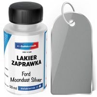 lakier zaprawkowy zaprawka samochodowy ford moondust silver