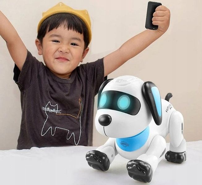 PIESEK ROBOT ZDALNIE STEROWANY PROGRAMOWANY KOMENDY USB zdjęcie 12