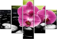 70 100CM OBRAZ 5 ELEM STORCZYKI KAMIENIACH DRUK PŁÓTNO