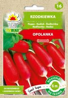 Rzodkiewka Opolanka taśma 6 m 200 nasion