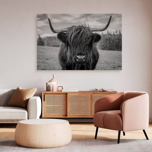 Obraz Do Sypialni Krowa Szkocka Na Tle Traw Czarno-Biały 90cm x 60cm na Arena.pl