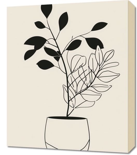 Obraz 50x60cm Prostota Doniczki zdjęcie 1