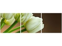 product-compare-58672393