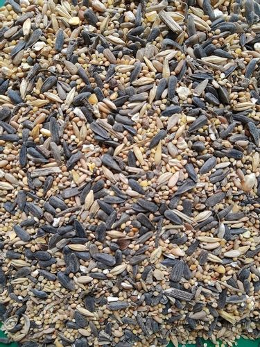 KARMNIKI DLA PTAKÓW PLASTIKOWE KARMNIK WISZĄCY DO KARMY I SŁONECZNIKA na Arena.pl