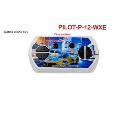 Pilot zdalnego sterowania w technologii 2.4 Ghz do pojazdów WXE zdjęcie 1