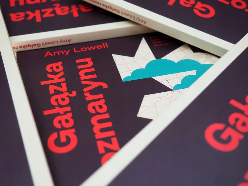 Gałązka rozmarynu zdjęcie 4