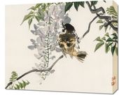 Obraz 60x50cm Sparrow on a Branch, Kōno Bairei Japoński Vintage do Salonu