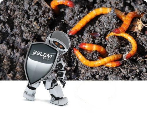 BELEM 1,2KG Środek OWADOBÓJCZY DOGLEBOWY ZWALCZA PĘDRAKI DRUTOWCE na Arena.pl