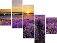 100 75CM OBRAZ 5 ELEM POLE LAWENDY ŚCIENNY