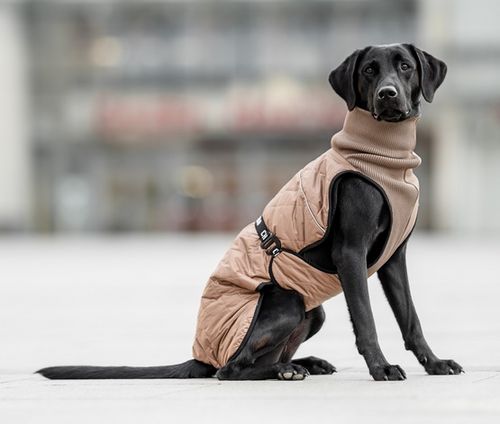 Chaba Kubrak Regulowany Chic 3XL beige na Arena.pl