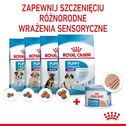 Royal Canin Starter Mother&Babydog Karma Mokra - Mus, Dla Suk W Czasie Ci na Arena.pl