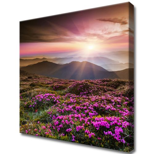 40X40 Obraz Na Prawdziwym Płótnie na Arena.pl