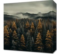 Obraz 40x40cm Mglisty Poranek
