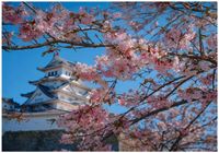 Fototapeta Na Flizelinie Do Sypialni Salonu Kwiat Wiśni 250x175