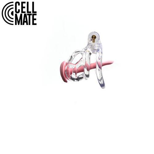 pas cnoty guardian chastity cage clear size 0 cellmate na Arena.pl