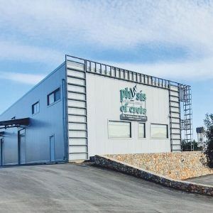 Oliwa Extra Virgin Physis of Crete 5l 0,2% świeża dostawa na Arena.pl