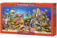Puzzle z motywem oceanicznym ryby i rafy koralowe Castorland 4000 elementów