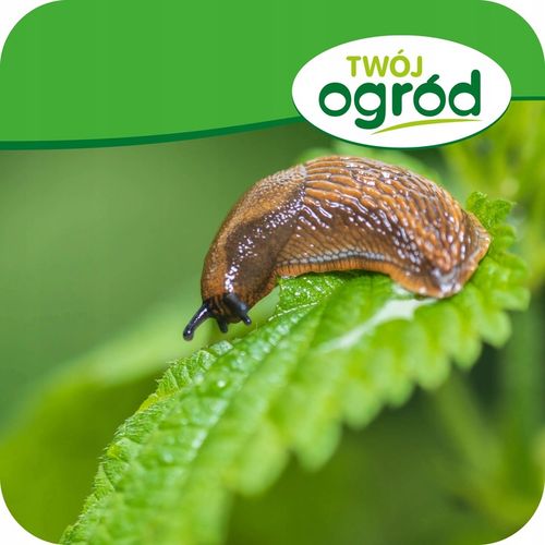 TRUTKA NA ŚLIMAKI ŚRODEK NA ŚLIMAKI 1KG GRANULAT LIMA ORO 5GB na Arena.pl