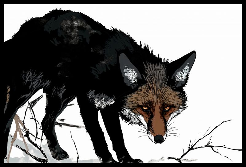 Plakat 60x40cm Nieufny Lis zdjęcie 2