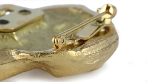 Labrador Retriever - klips - 2615 na Arena.pl