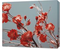 Obraz 70x60cm Szkarłatna Wiosna