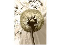 60CM 50CM OBRAZ ŚCIENNY DMUCHAWCE SEPI DRUK PŁÓTNO